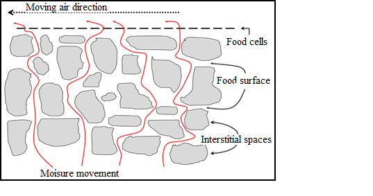 fig11-1-schematic-diagram-of-movement-of-moisture-in-the-interstitial